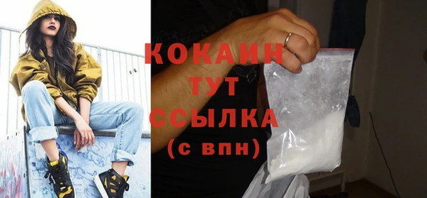 крисы Покачи