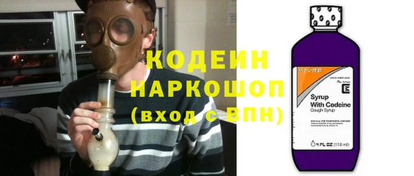 крисы Покачи