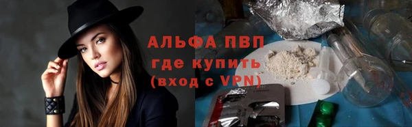 крисы Покачи